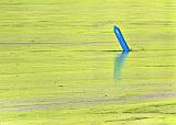 Blue Channel Marker Locked In Chartreuse Ice_DSCF5666